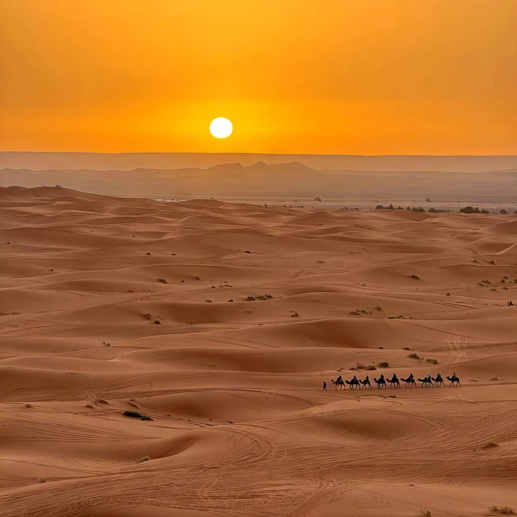499861517_1224846995683225_5726583437634901220_n-enhance-3.2x-1024x1024 10 Must-Visit Destinations in Morocco
